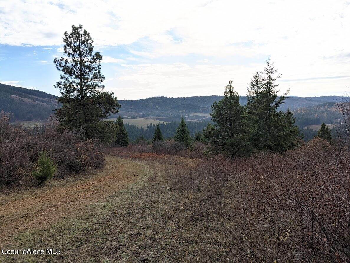 Land for Sale at NNA Agency Road Plummer, Idaho 83851 United States