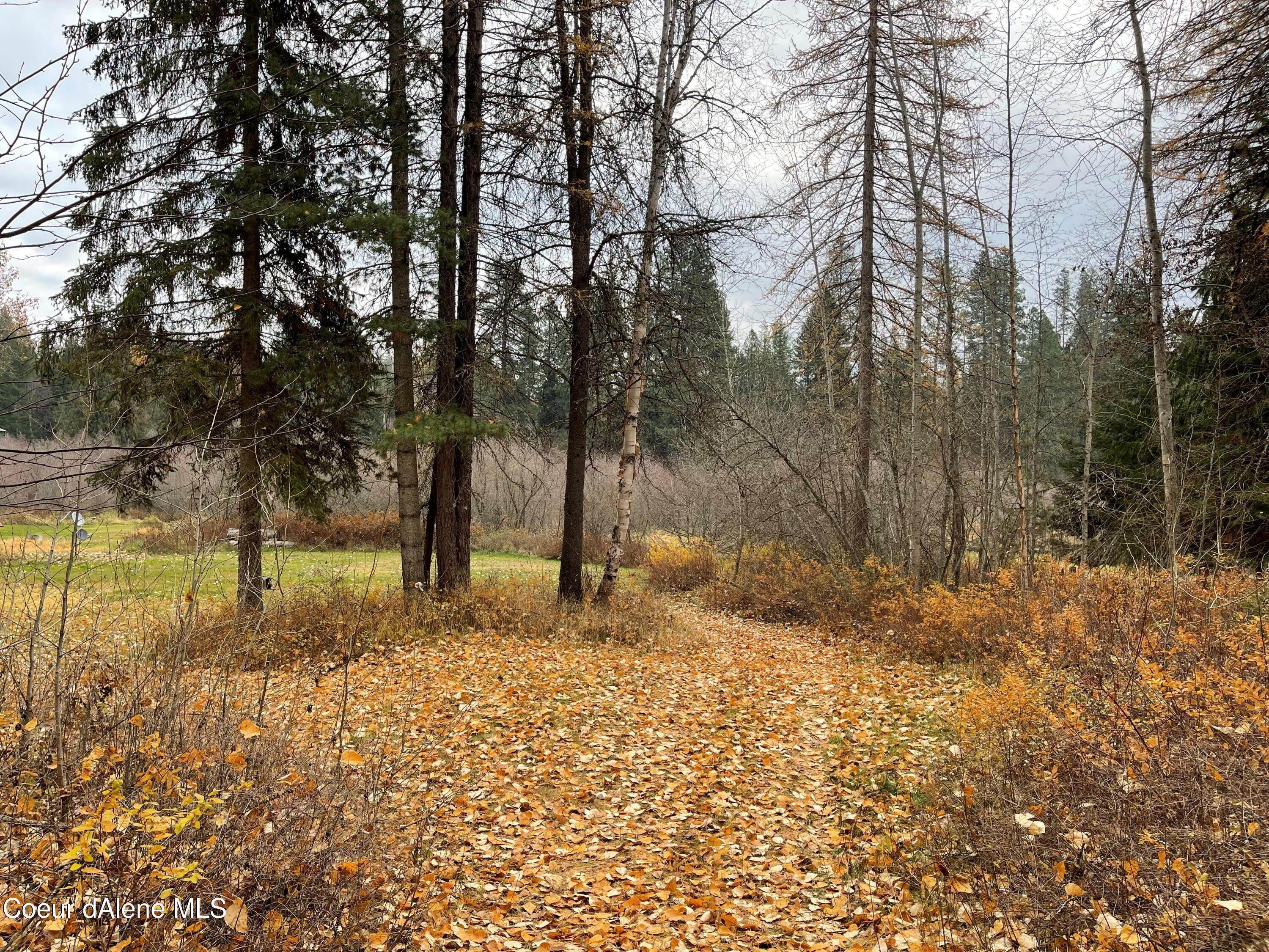 14. Land for Sale at Fall Creek Rd -L 2A BL 2 Naples, Idaho 83847 United States