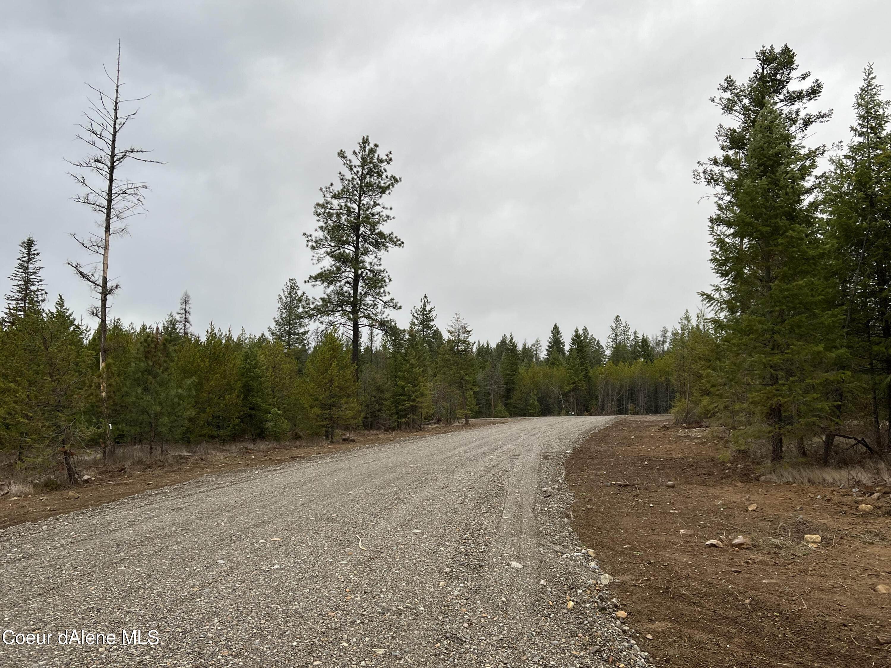 8. Land for Sale at NNA Ares Way 1st Lt 1 Blk 1 Priest River, Idaho 83856 United States