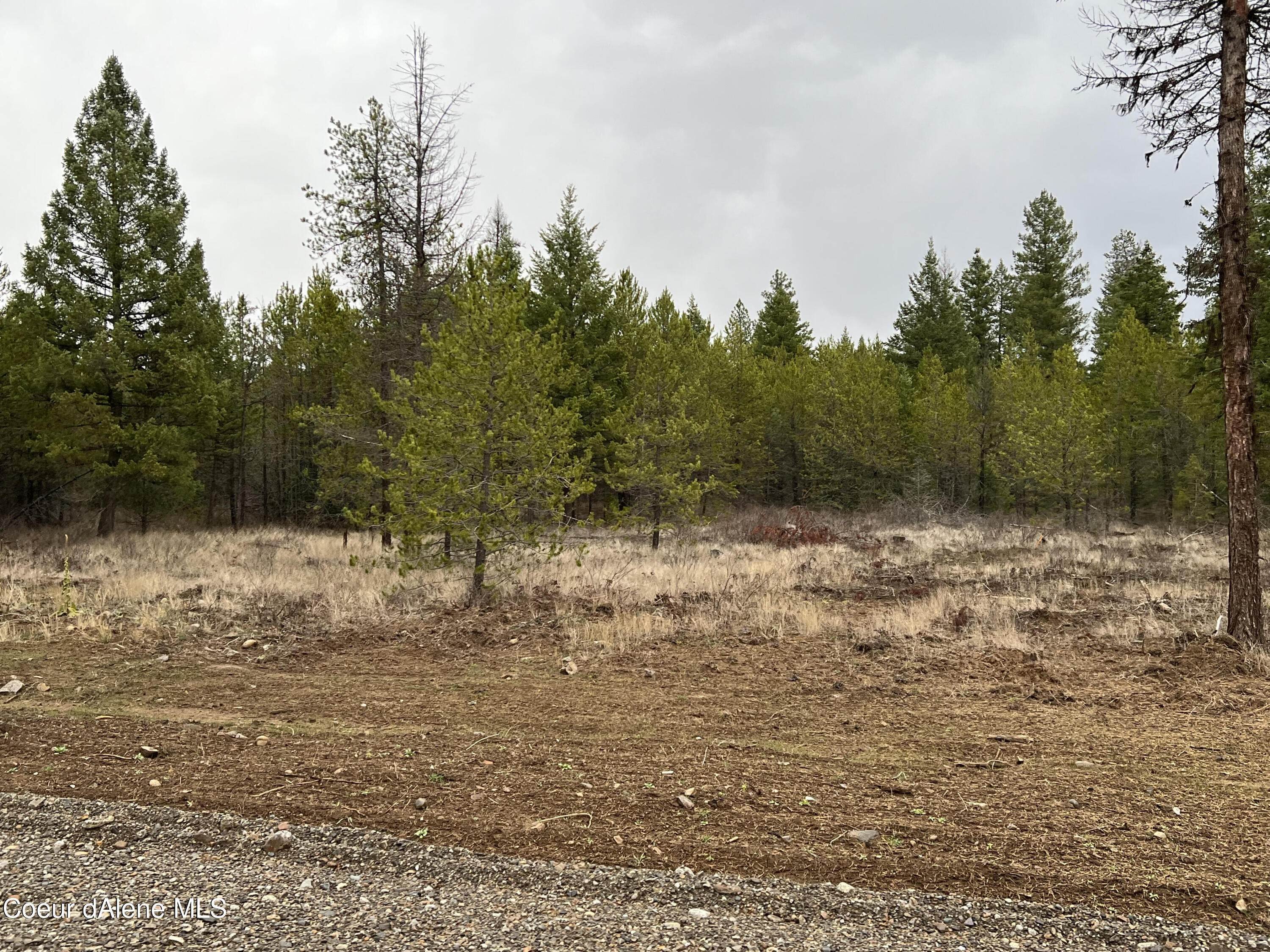 12. Land for Sale at NNA Ares Way 1st Lt 1 Blk 1 Priest River, Idaho 83856 United States