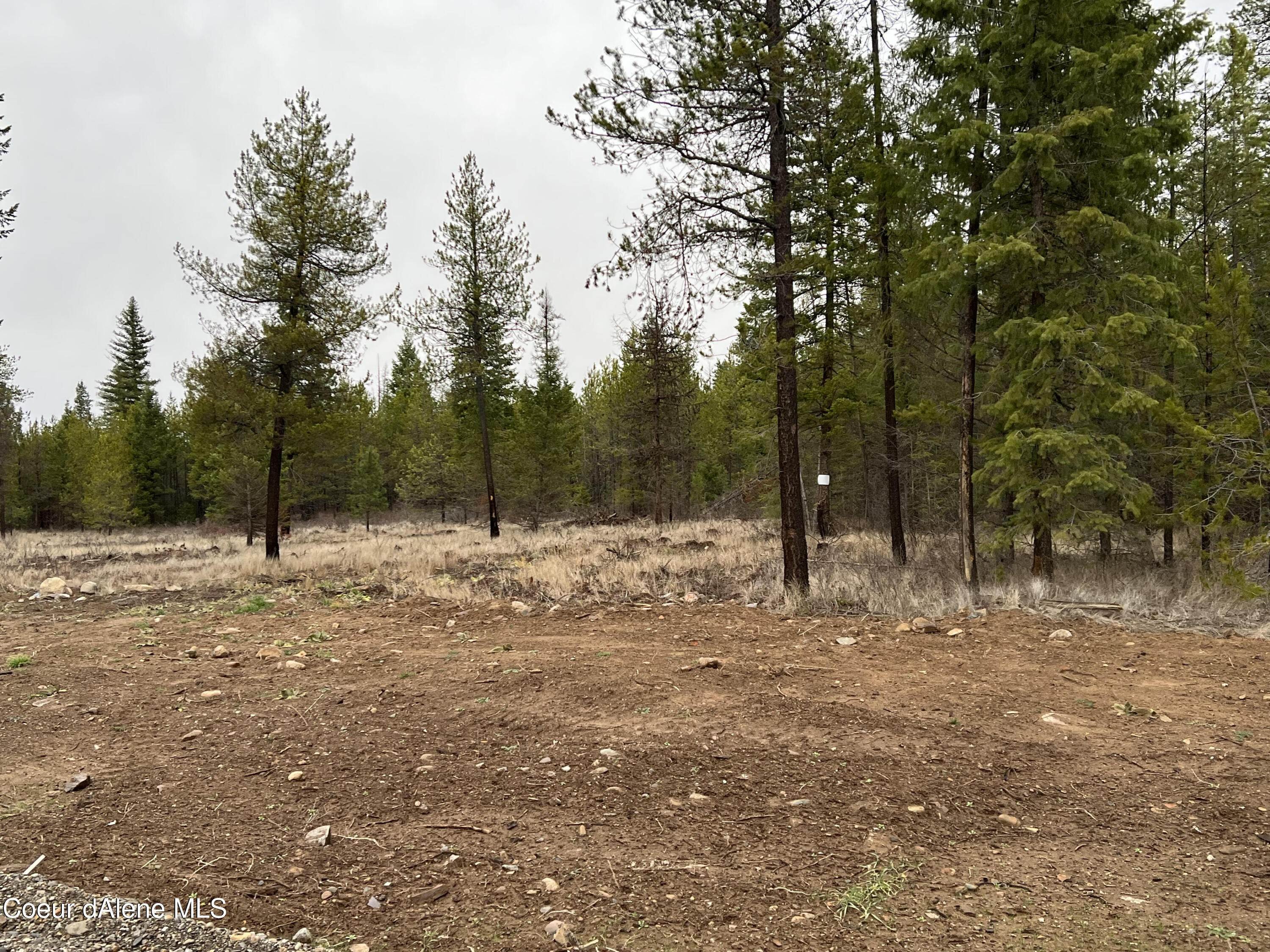 14. Land for Sale at NNA Ares Way Priest River, Idaho 83856 United States