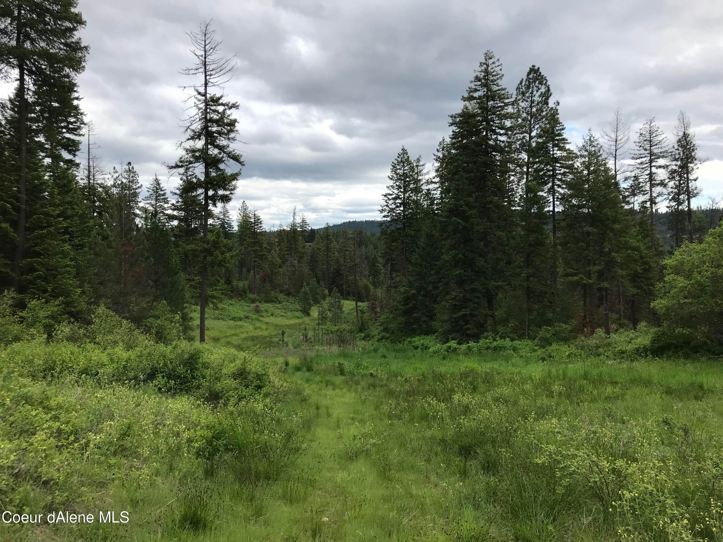 Land for Sale at NKA Stach Road (Parcel 3) Idaho 83814 United States