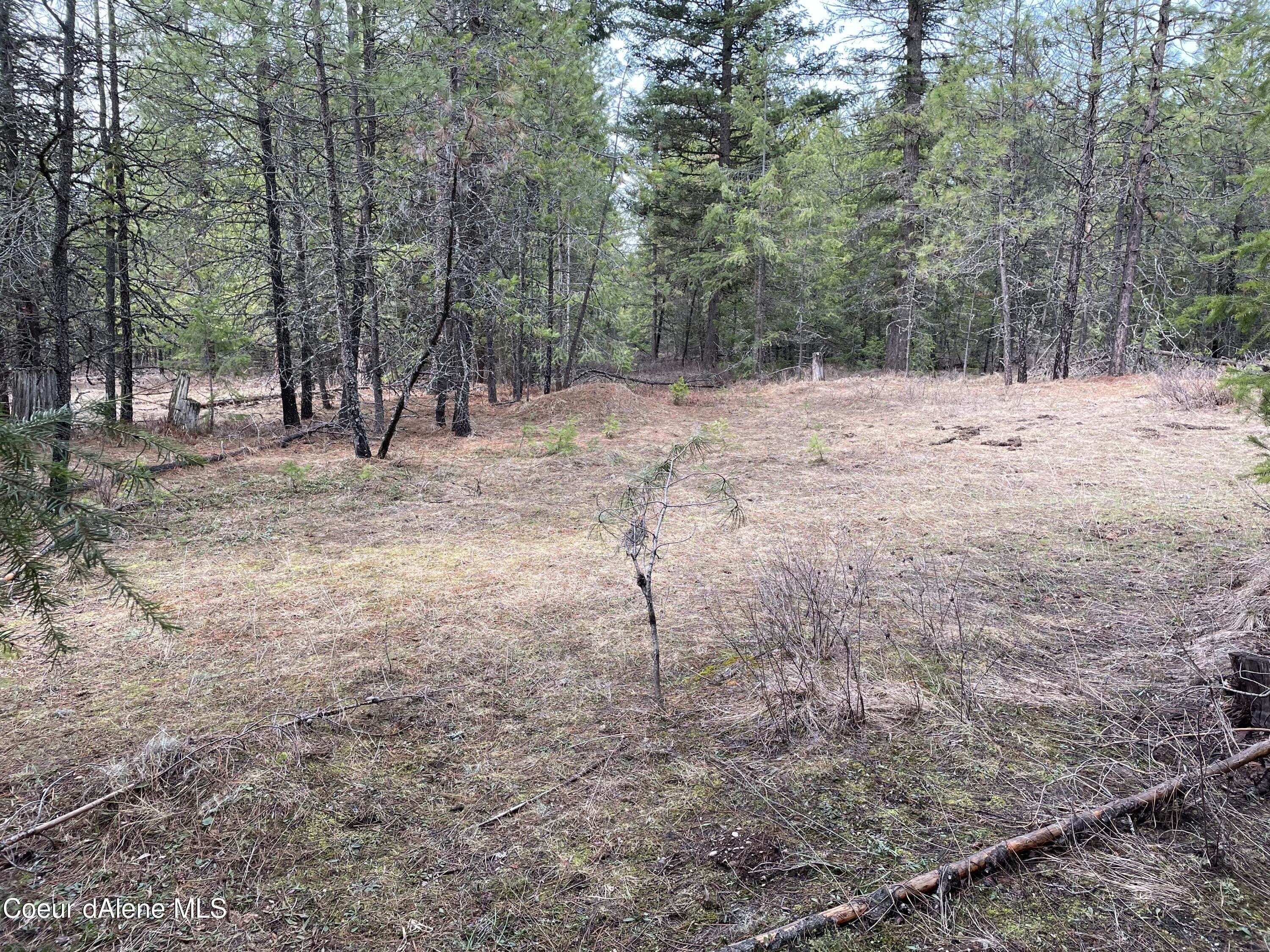 8. Land for Sale at NNA Everett Huff Road Lot 3 Oldtown, Idaho 83822 United States