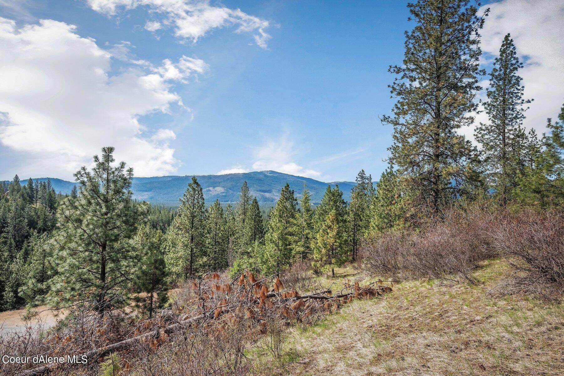31. Land for Sale at 1966 Rogstad Powerline Road Blanchard, Idaho 83804 United States