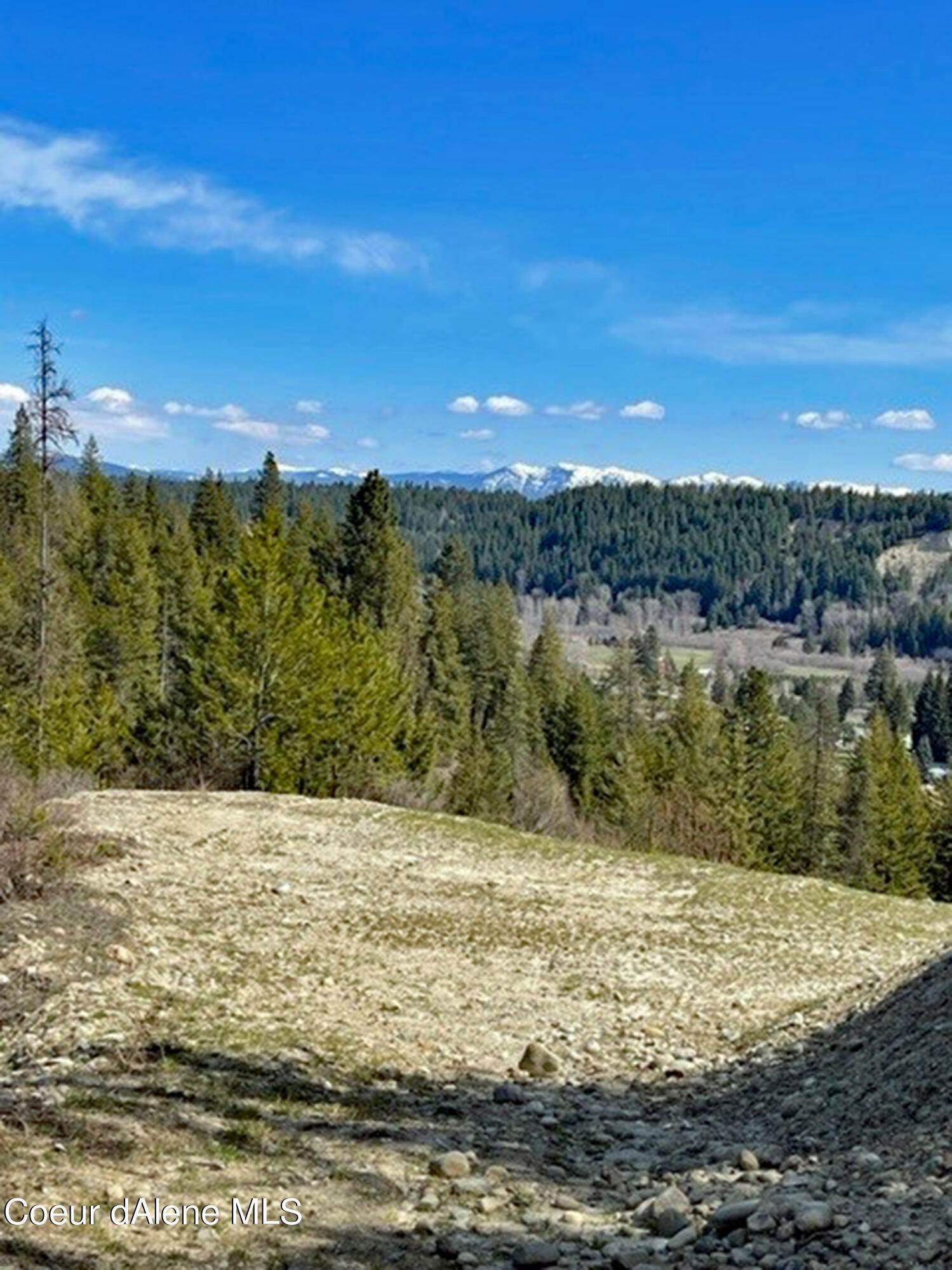 19. Land for Sale at NNA Ruby Creek Road Naples, Idaho 83847 United States