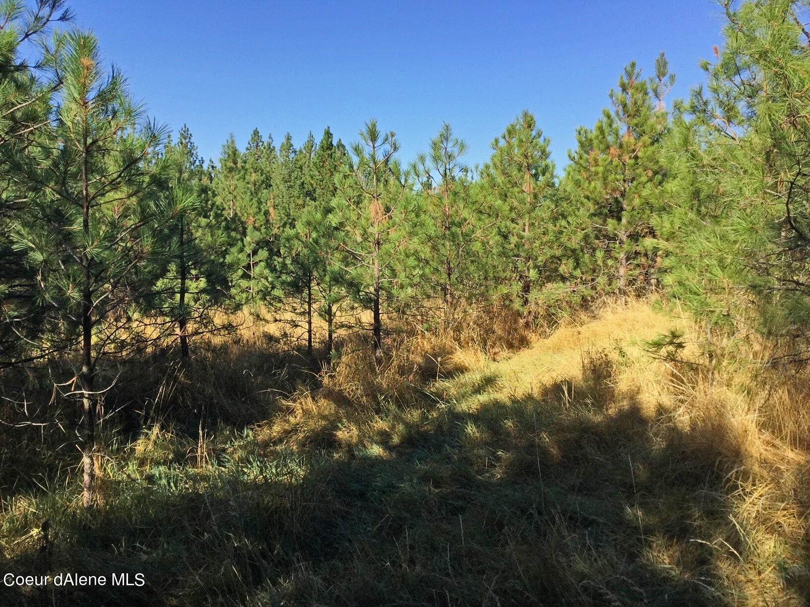 6. Land for Sale at S. Hells Gulch Road St. Maries, Idaho 83861 United States