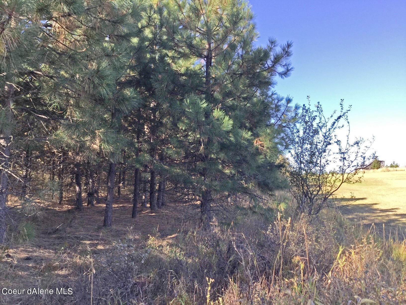 9. Land for Sale at S. Hells Gulch Road St. Maries, Idaho 83861 United States
