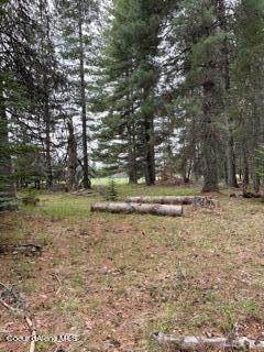 9. Land for Sale at NNA Forest Siding Road Sandpoint, Idaho 83864 United States
