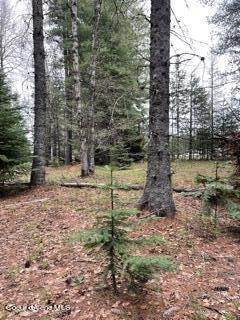 10. Land for Sale at NNA Forest Siding Road Sandpoint, Idaho 83864 United States