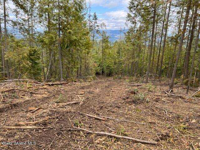 5. Land for Sale at NNA HIGH MEADOW Priest River, Idaho 83856 United States