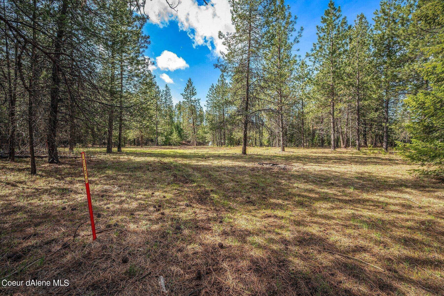 6. Land for Sale at 123 Smokewood Drive Athol, Idaho 83801 United States