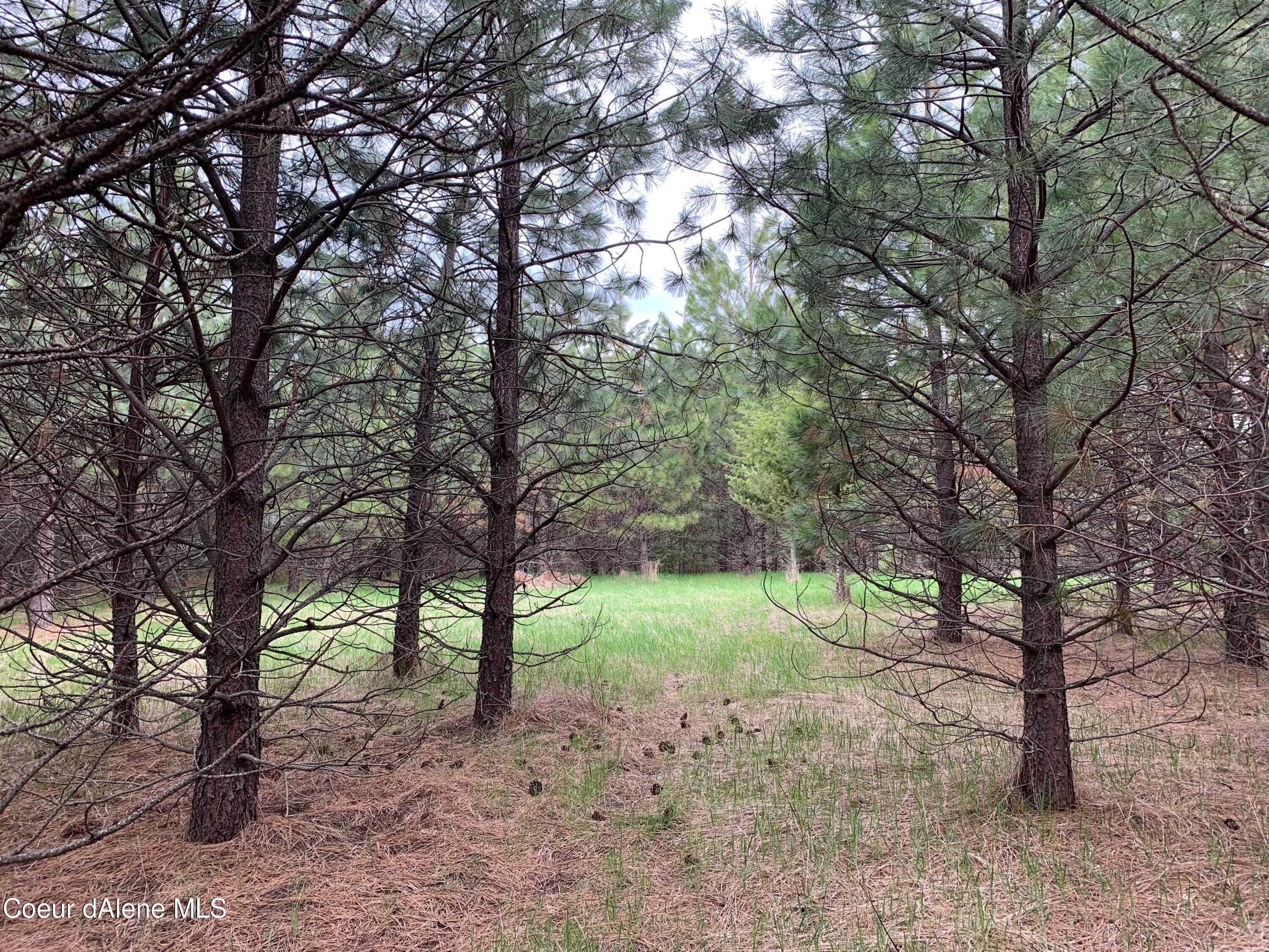 13. Land for Sale at S. Hells Gulch Road St. Maries, Idaho 83861 United States
