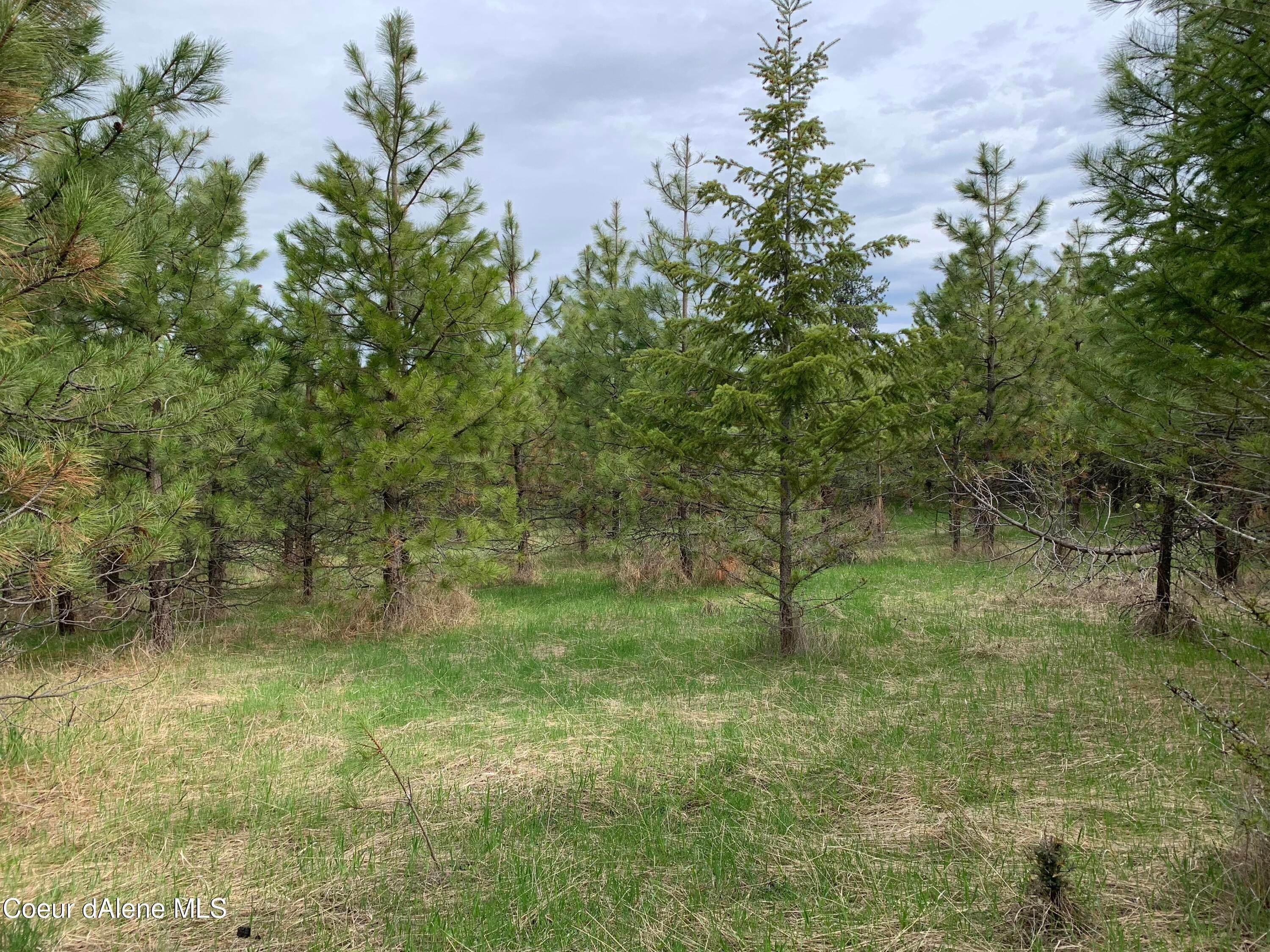 2. Land for Sale at S. Hells Gulch Road St. Maries, Idaho 83861 United States