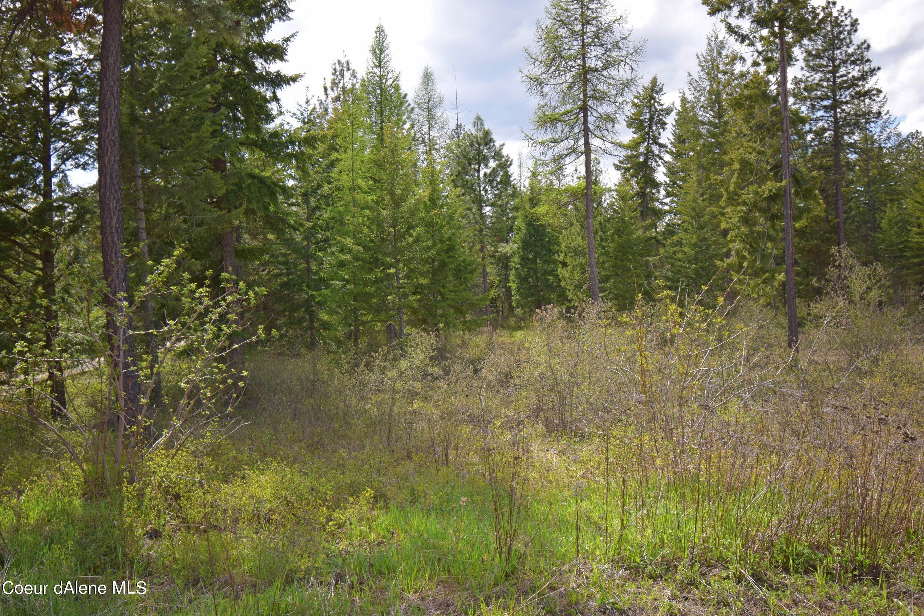 6. Land for Sale at 1191 Sunrise Road Bonners Ferry, Idaho 83805 United States