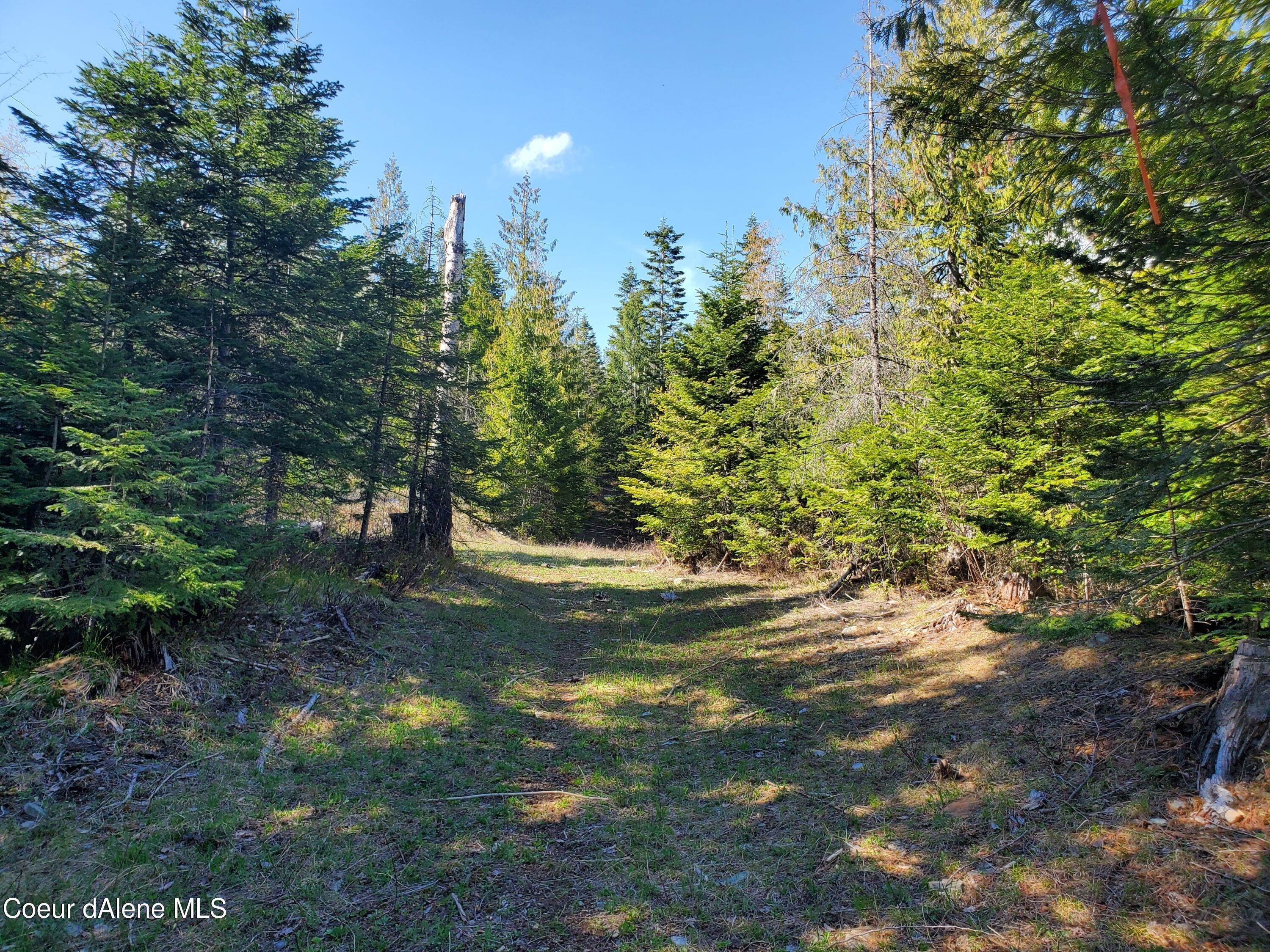 17. Land for Sale at Lot 3 Sled Run Clark Fork, Idaho 83811 United States