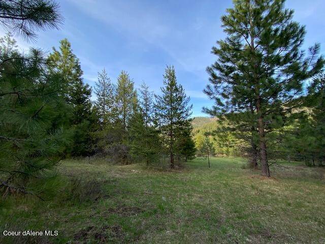 8. Land for Sale at 18 Acres Cherry Creek Road St. Maries, Idaho 83861 United States