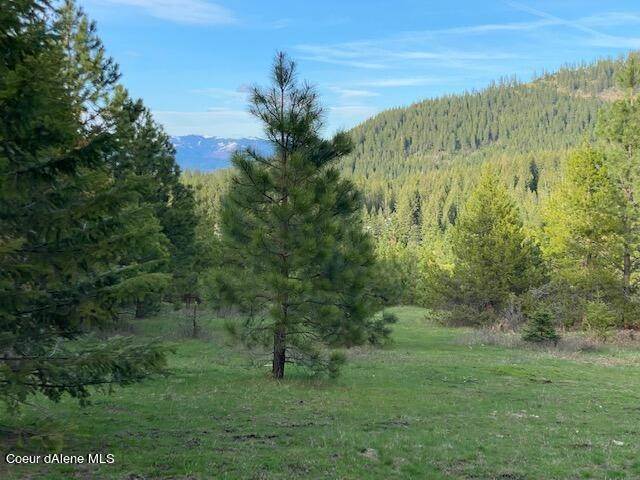 4. Land for Sale at 18 Acres Cherry Creek Road St. Maries, Idaho 83861 United States