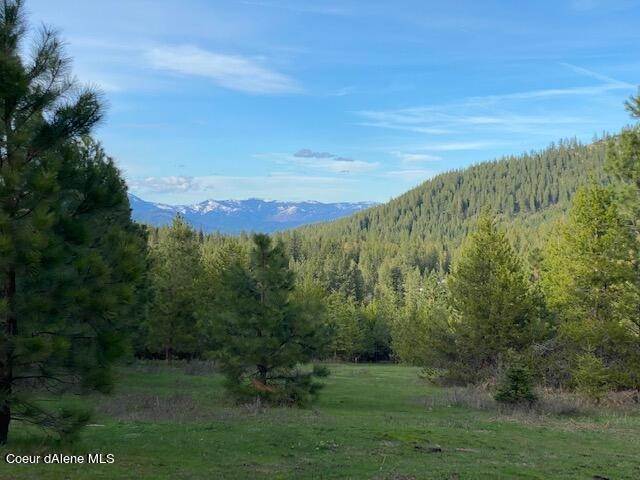 Land for Sale at 18 Acres Cherry Creek Road St. Maries, Idaho 83861 United States