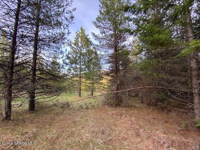 18. Land for Sale at 18 Acres Cherry Creek Road St. Maries, Idaho 83861 United States