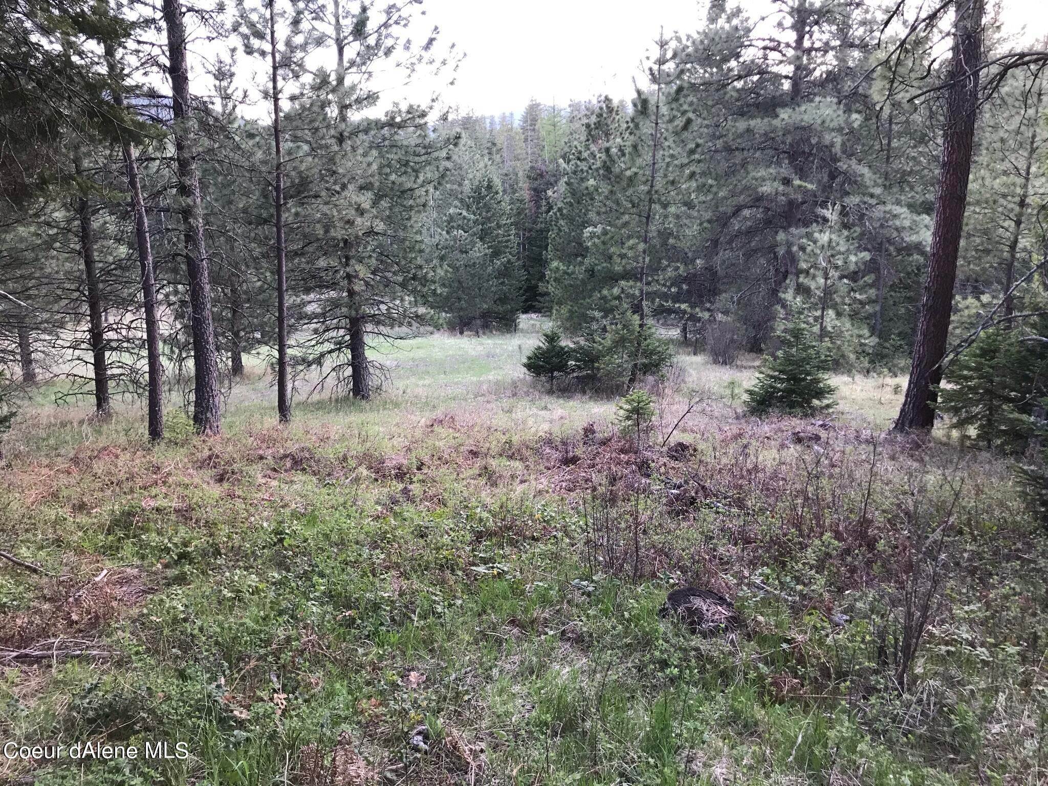 5. Land for Sale at NKA Stach Road Idaho 83814 United States