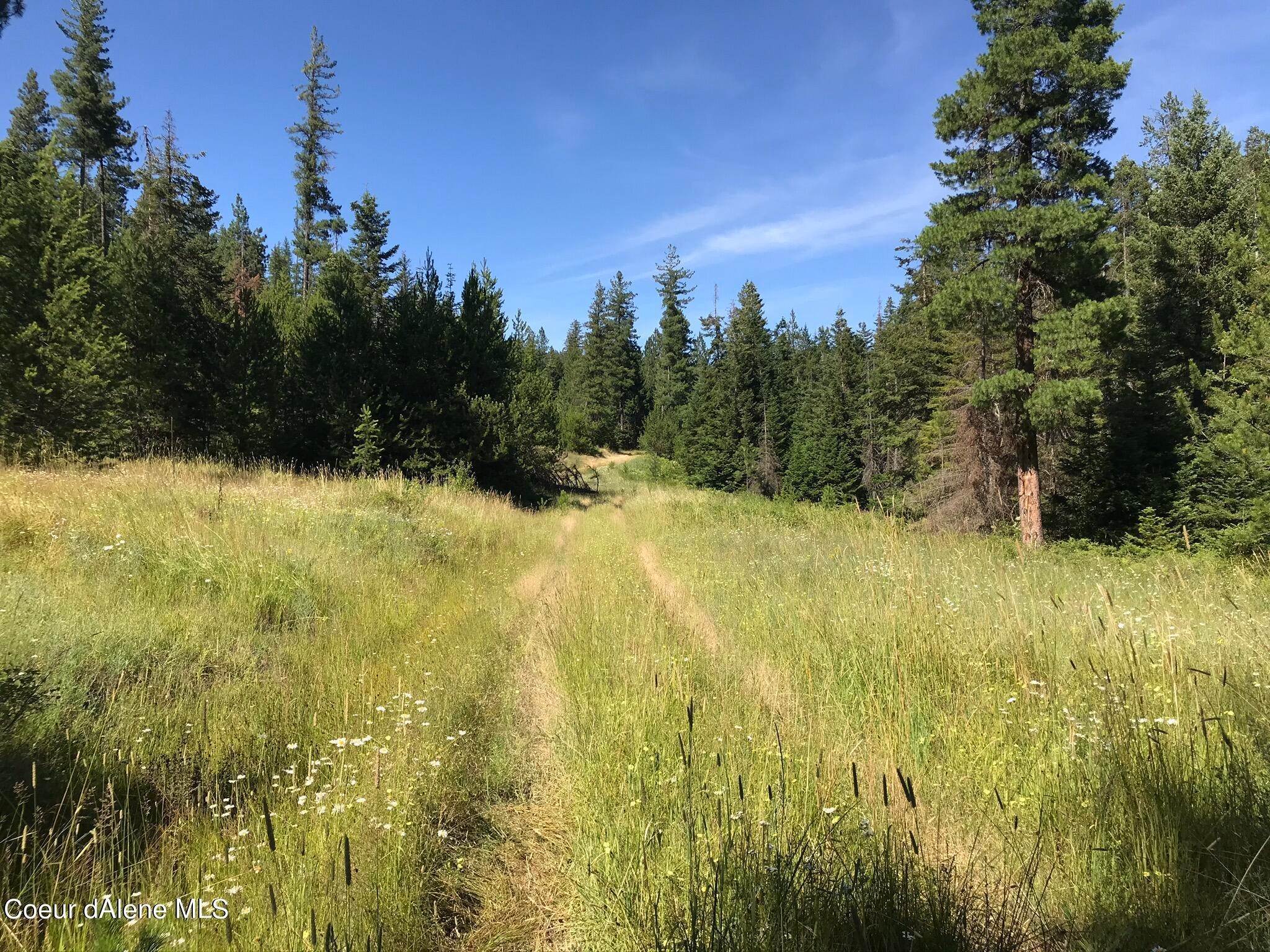 7. Land for Sale at NKA Stach Road Idaho 83814 United States