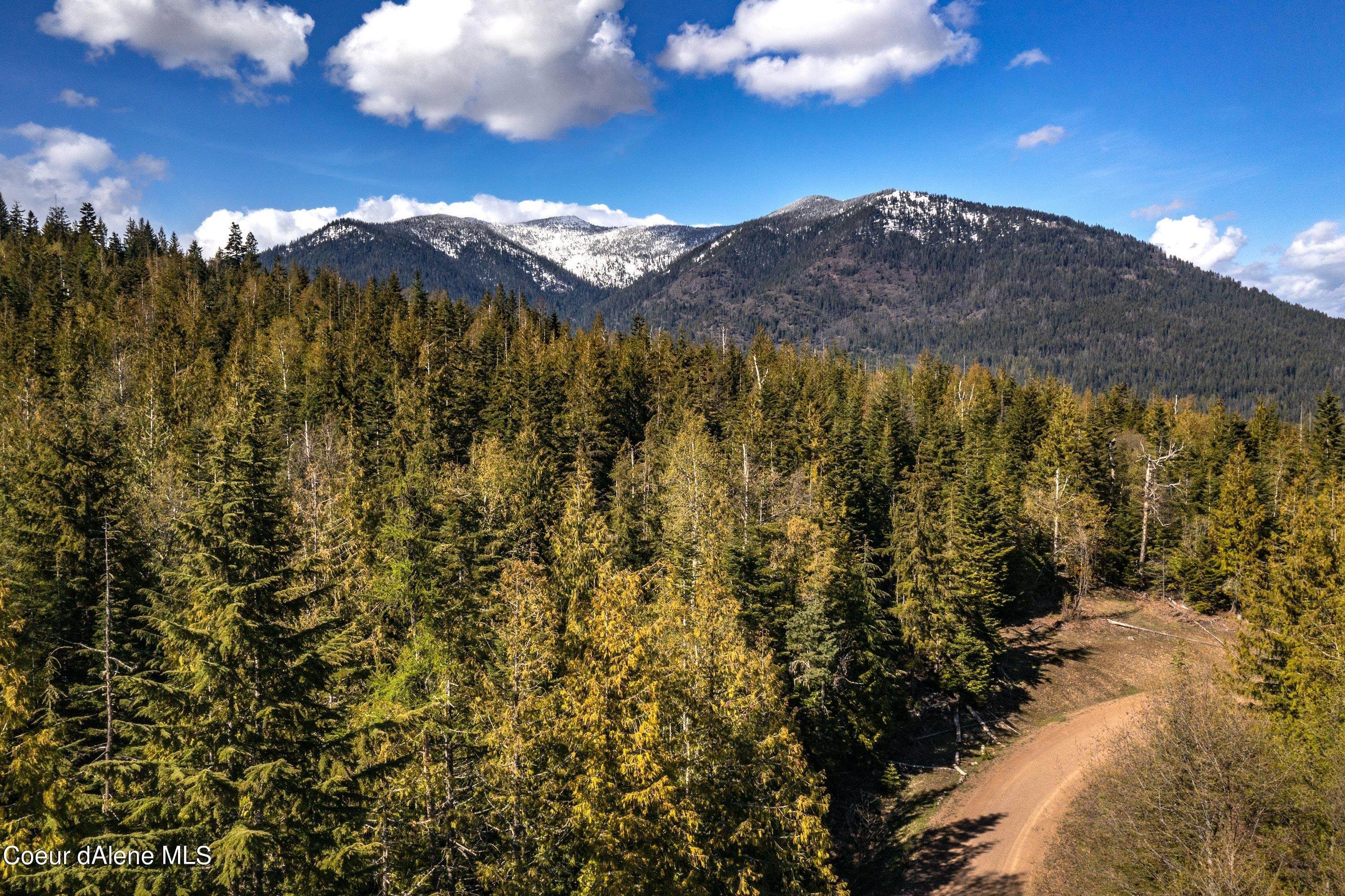 7. Land for Sale at Lot 3 Sled Run Clark Fork, Idaho 83811 United States