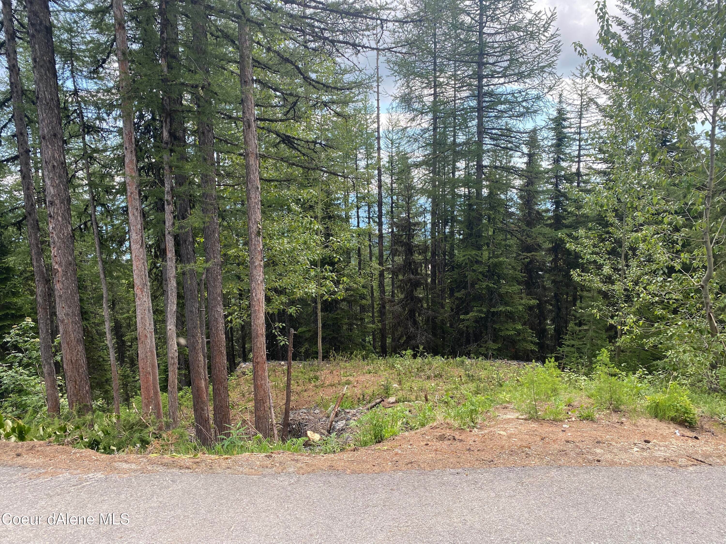3. Land for Sale at Lot 4A Tall Timber Road Sandpoint, Idaho 83864 United States