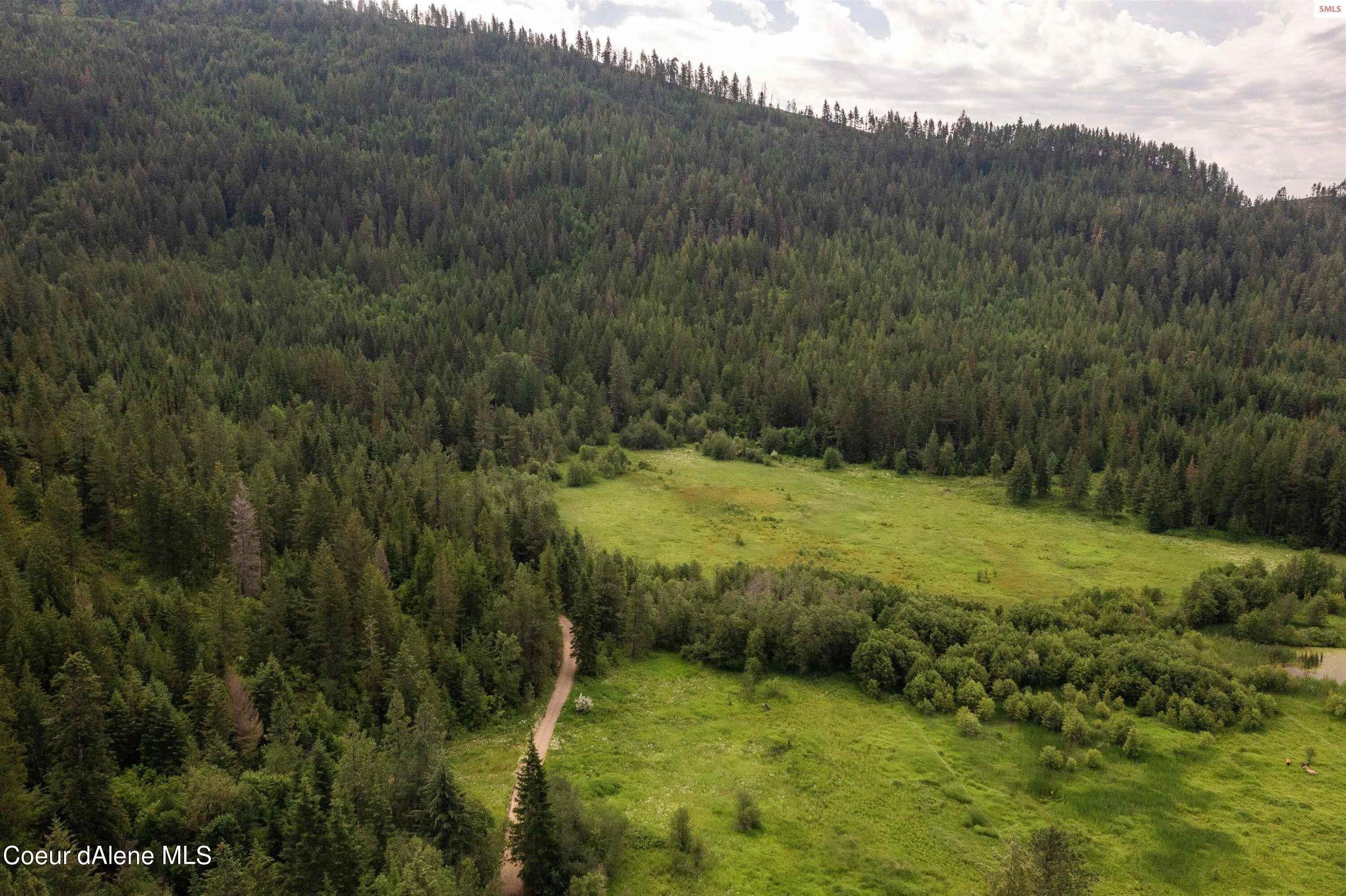 2. Land for Sale at NNA Woods Road Priest River, Idaho 83856 United States