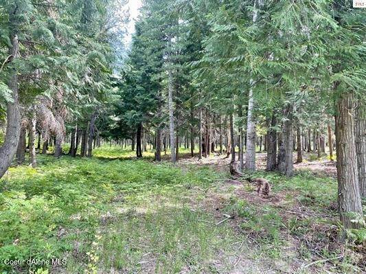 6. Land for Sale at 150 Ranch Road Naples, Idaho 83847 United States