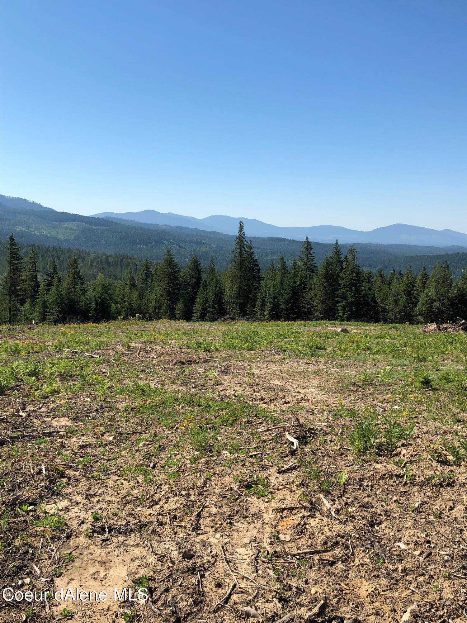 2. Land for Sale at Blacktail Road Careywood, Idaho 83809 United States