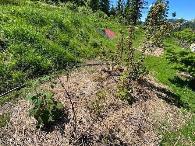 20. Land for Sale at 1357 Elderberry Drive St. Maries, Idaho 83861 United States