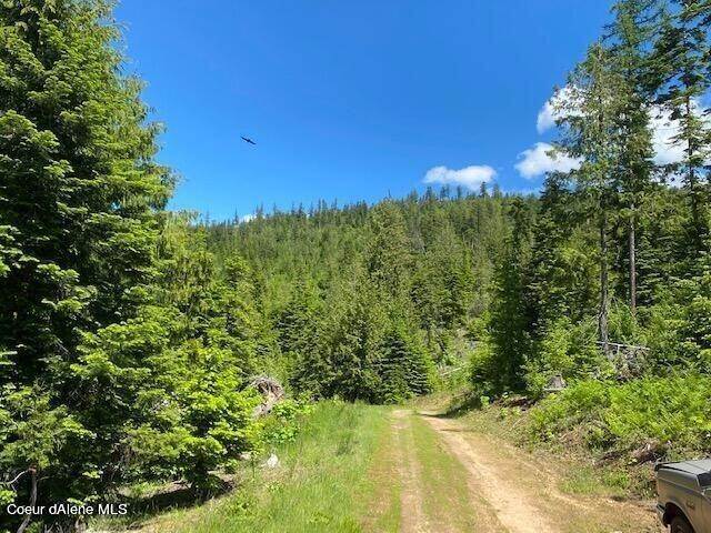 24. Land for Sale at 1357 Elderberry Drive St. Maries, Idaho 83861 United States