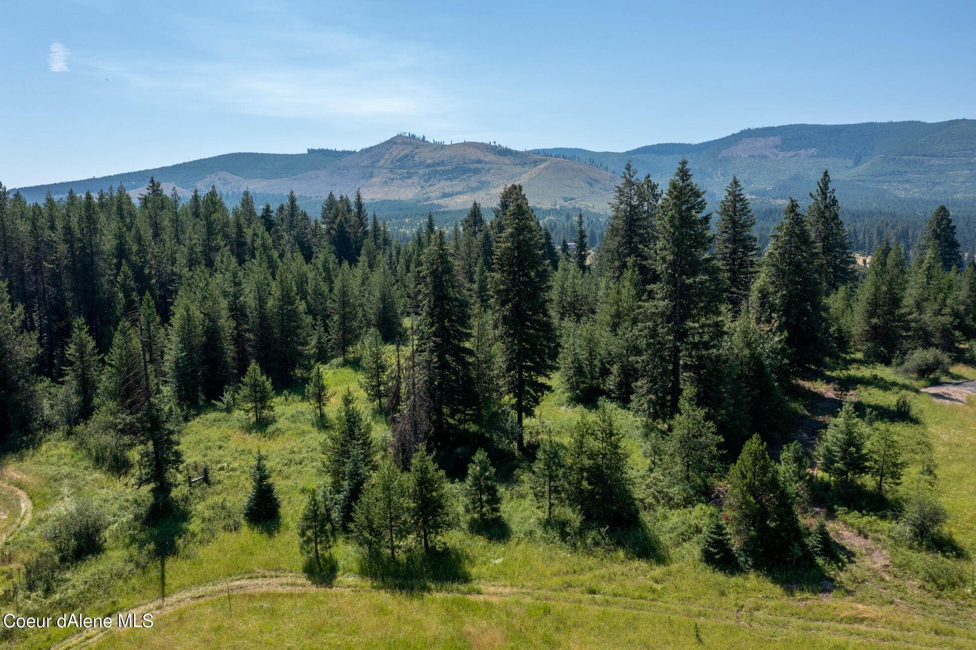 19. Land for Sale at NNA Peterson Point Road St. Maries, Idaho 83861 United States