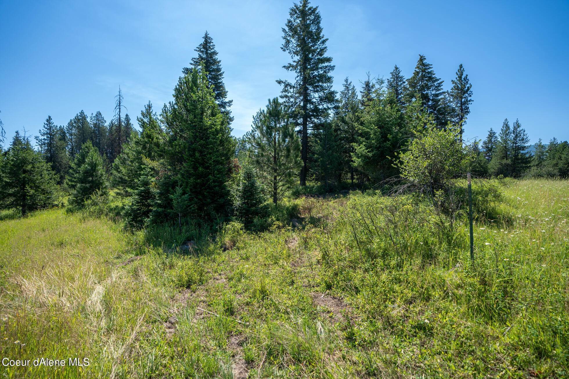 9. Land for Sale at NNA Peterson Point Road St. Maries, Idaho 83861 United States