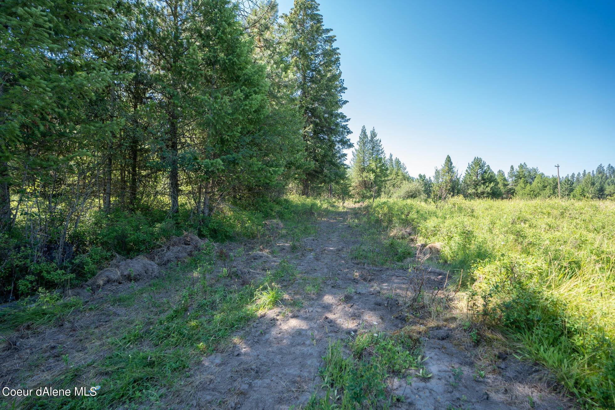 3. Land for Sale at NNA Peterson Point Road St. Maries, Idaho 83861 United States