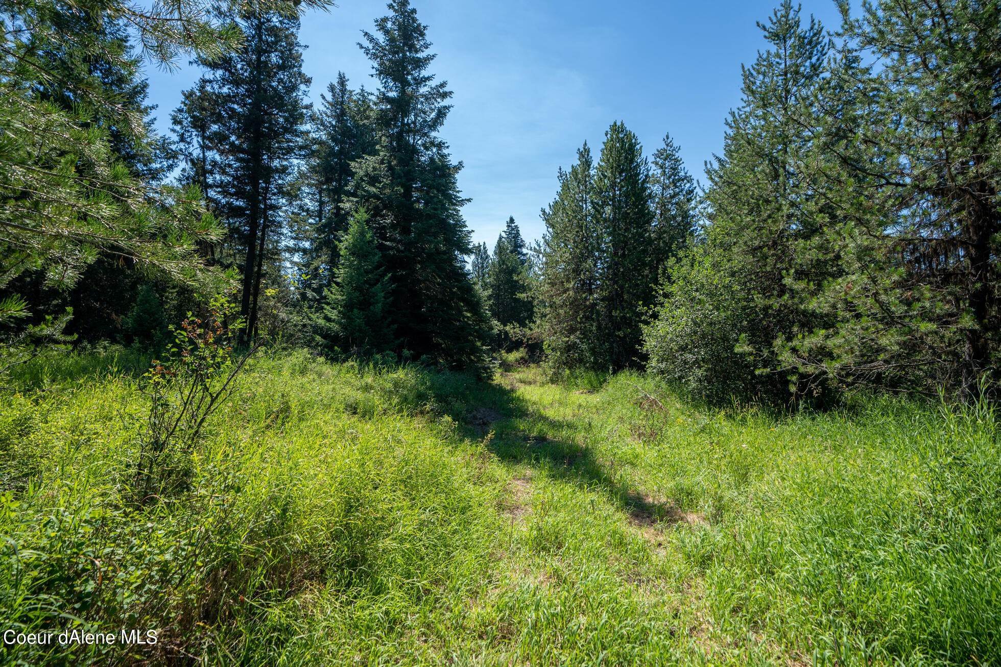 2. Land for Sale at NNA Peterson Point Road St. Maries, Idaho 83861 United States
