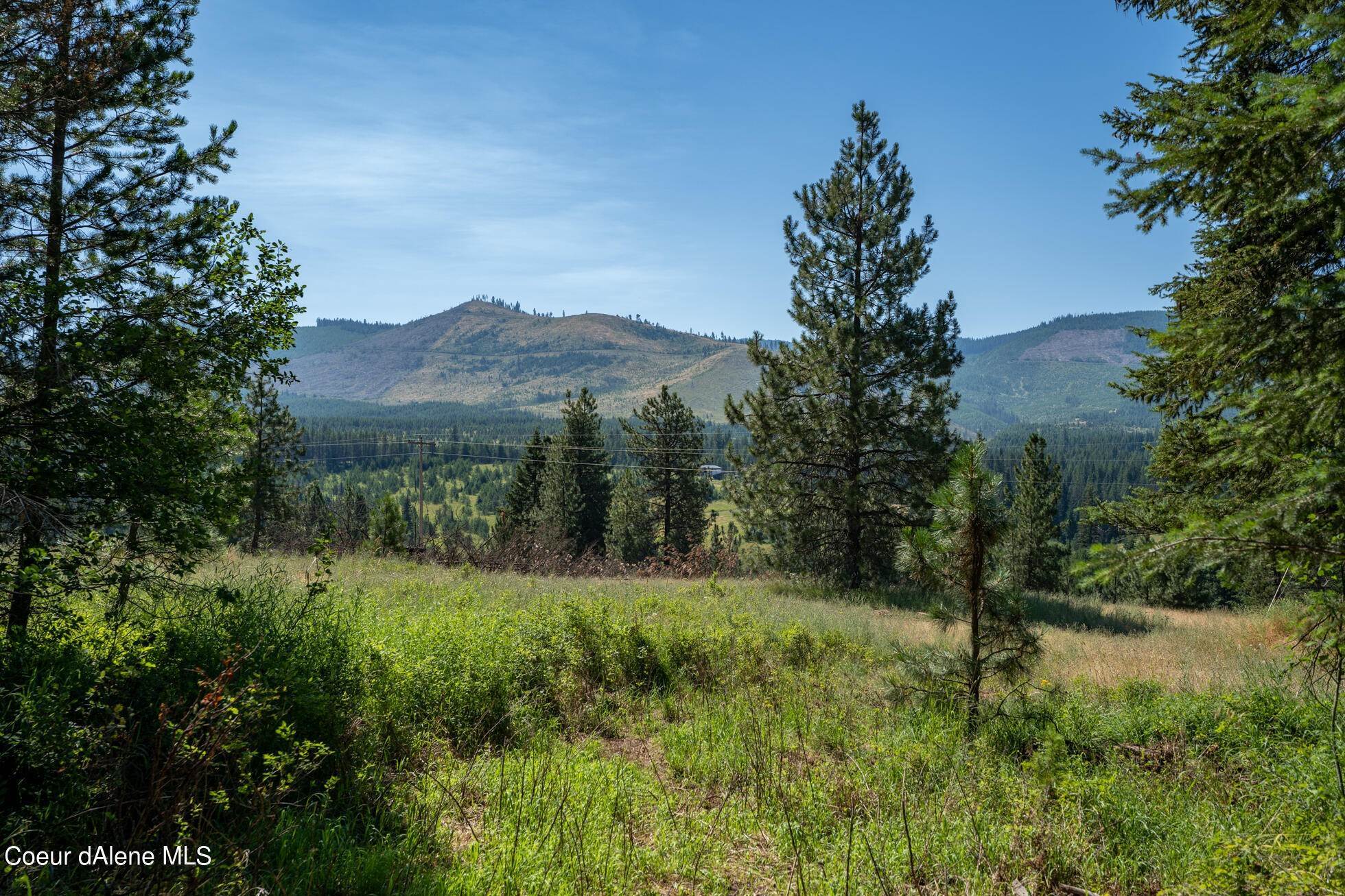 1. Land for Sale at NNA Peterson Point Road St. Maries, Idaho 83861 United States