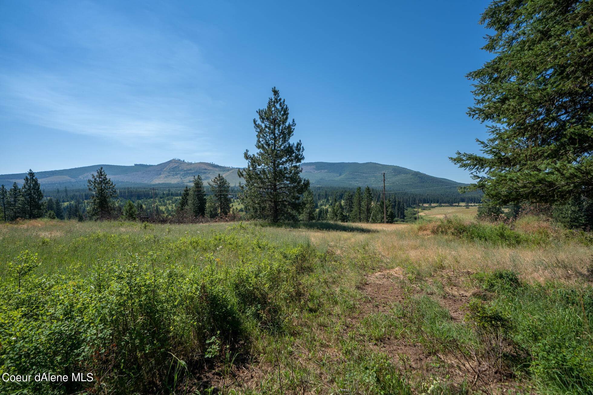 4. Land for Sale at NNA Peterson Point Road St. Maries, Idaho 83861 United States