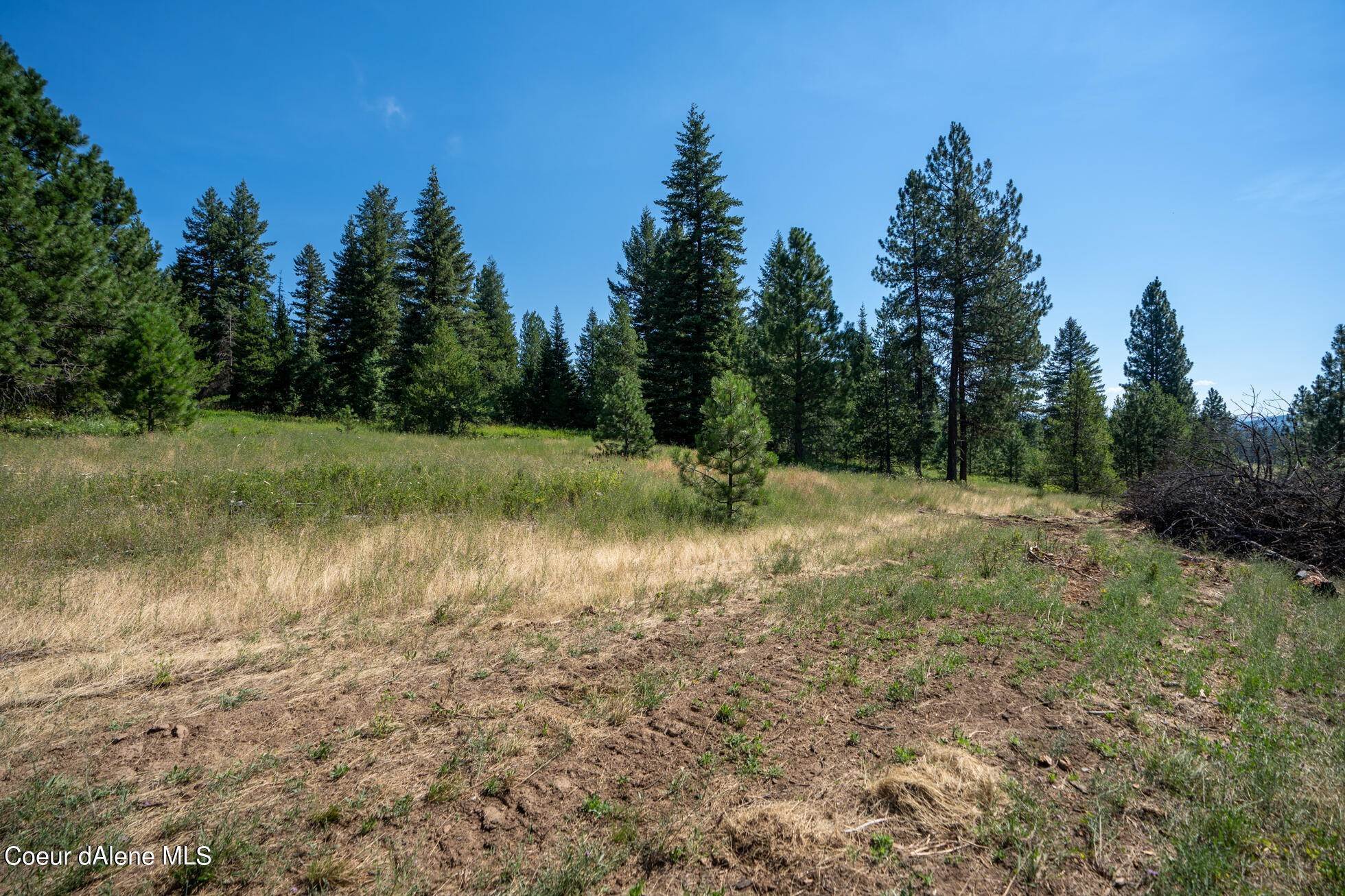 24. Land for Sale at NNA Peterson Point Road St. Maries, Idaho 83861 United States