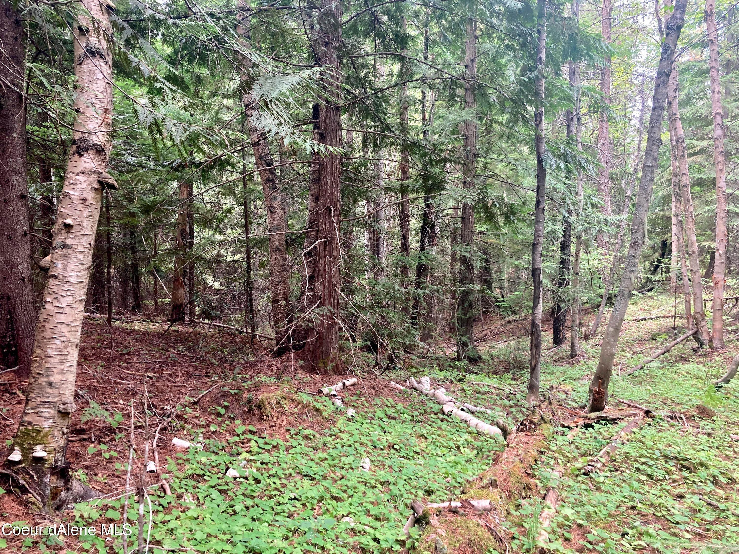 12. Land for Sale at NNA Box Canyon Road Sandpoint, Idaho 83864 United States