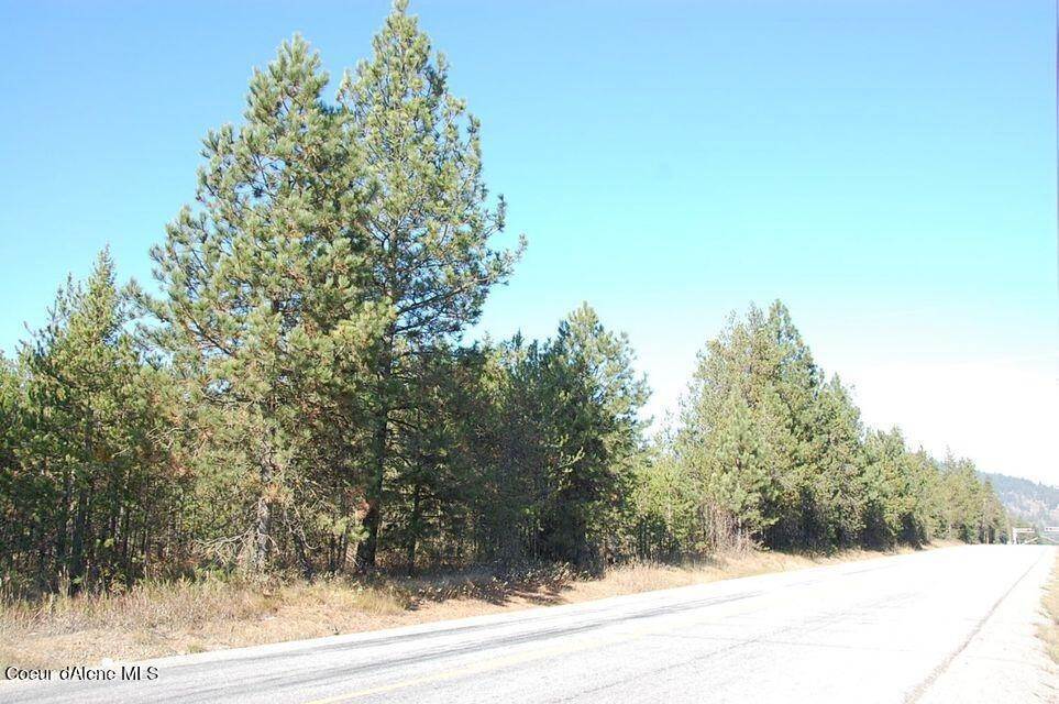 Land for Sale at NKA E Brunner Road Athol, Idaho 83801 United States