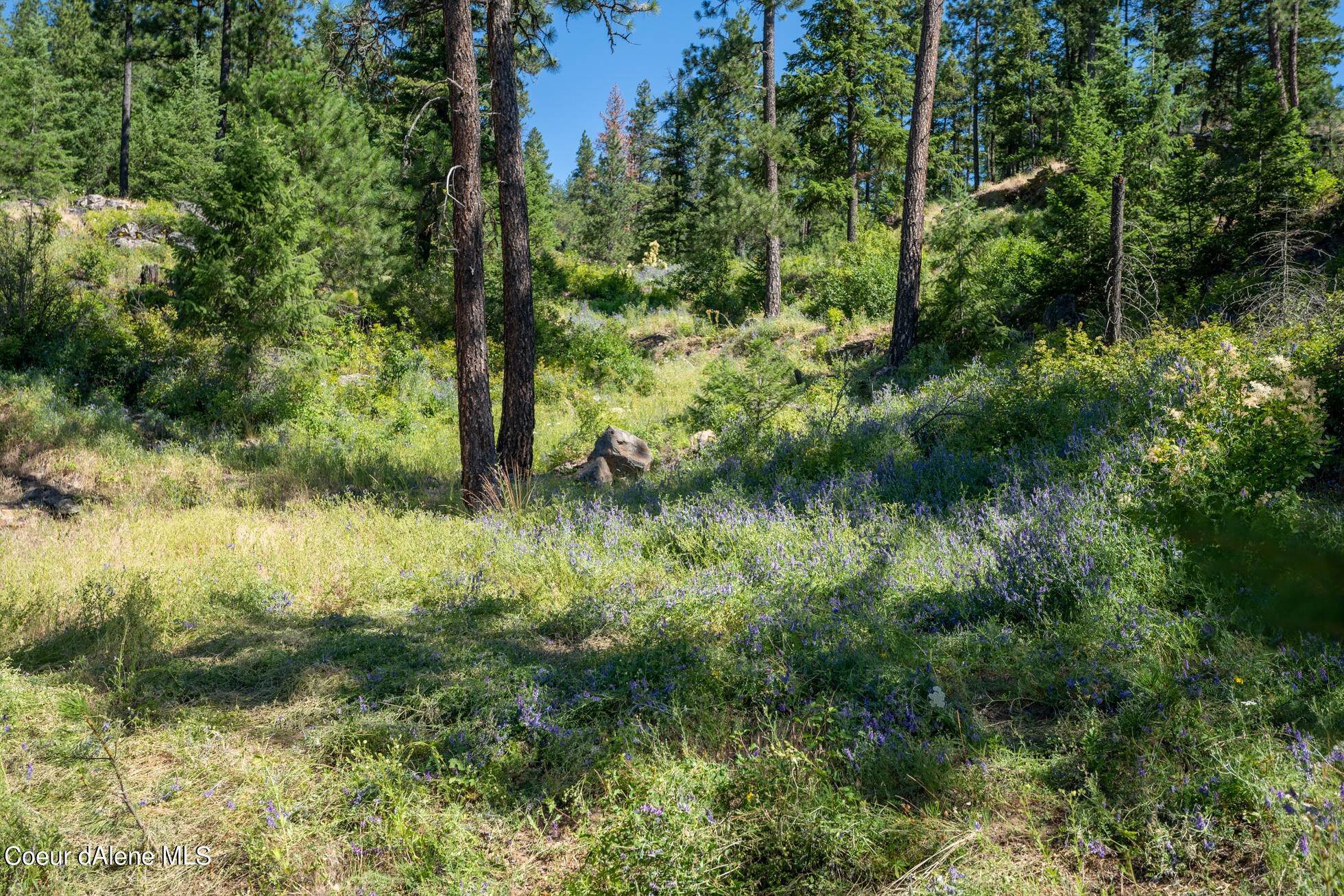 10. Land for Sale at 11 Wolf Lodge Trail Blanchard, Idaho 83804 United States