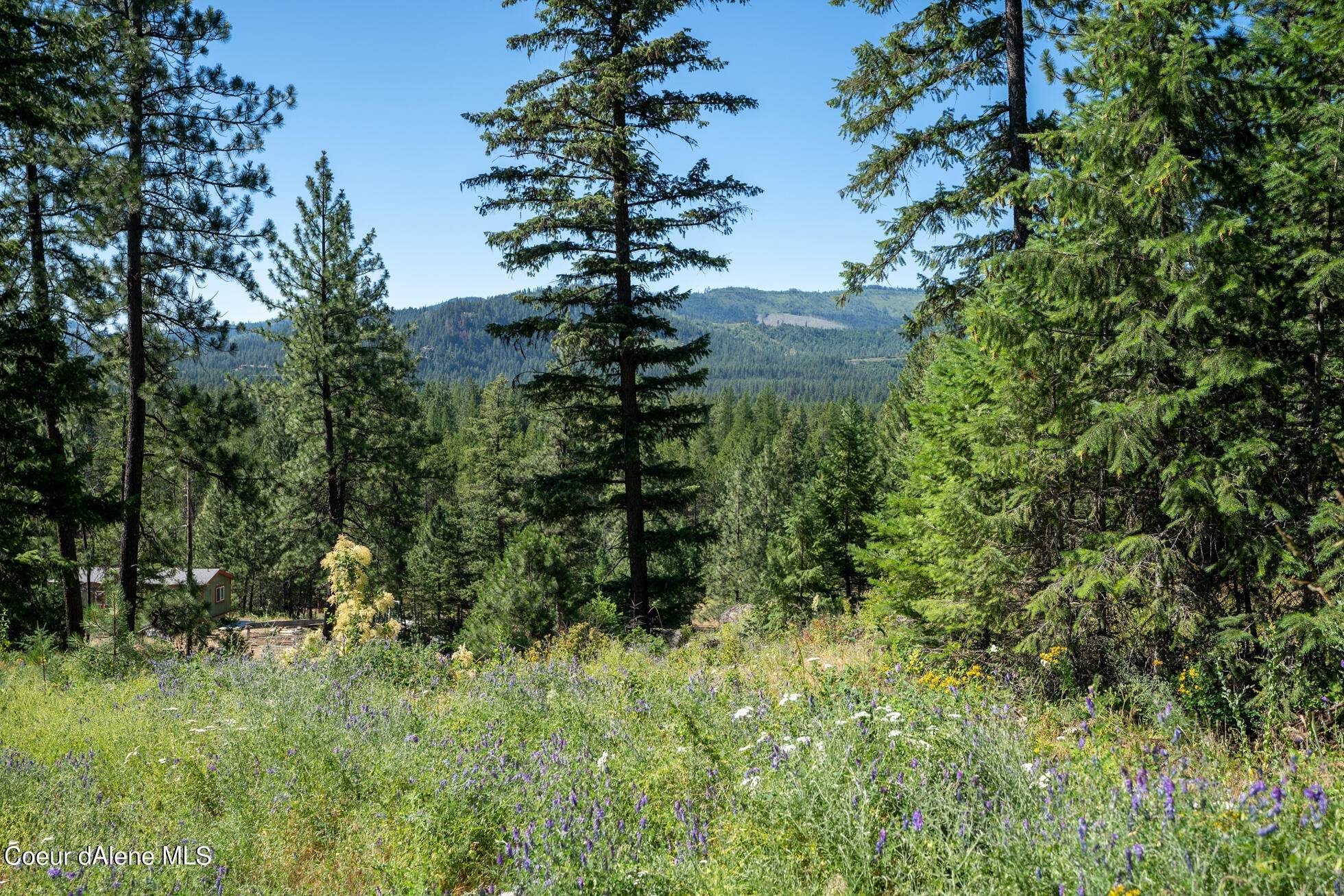 12. Land for Sale at 11 Wolf Lodge Trail Blanchard, Idaho 83804 United States