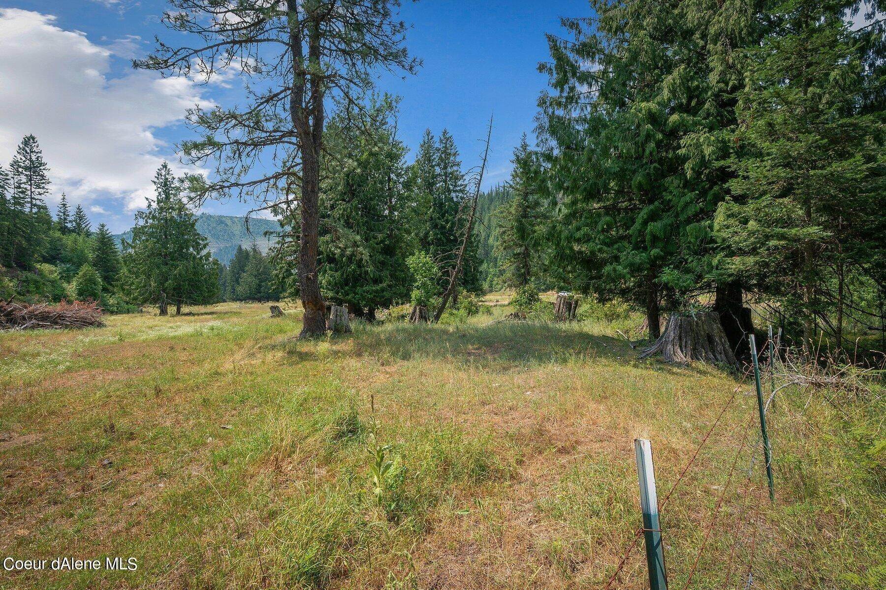 31. Land for Sale at 477 Reeds Creek Road St. Maries, Idaho 83861 United States
