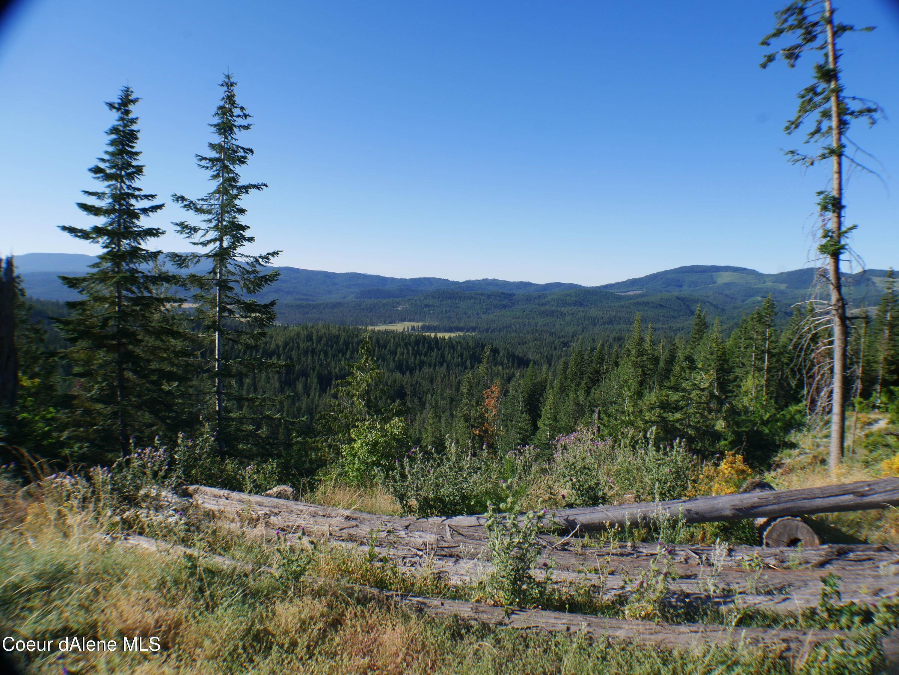 1. Land for Sale at Backside Drive St. Maries, Idaho 83861 United States