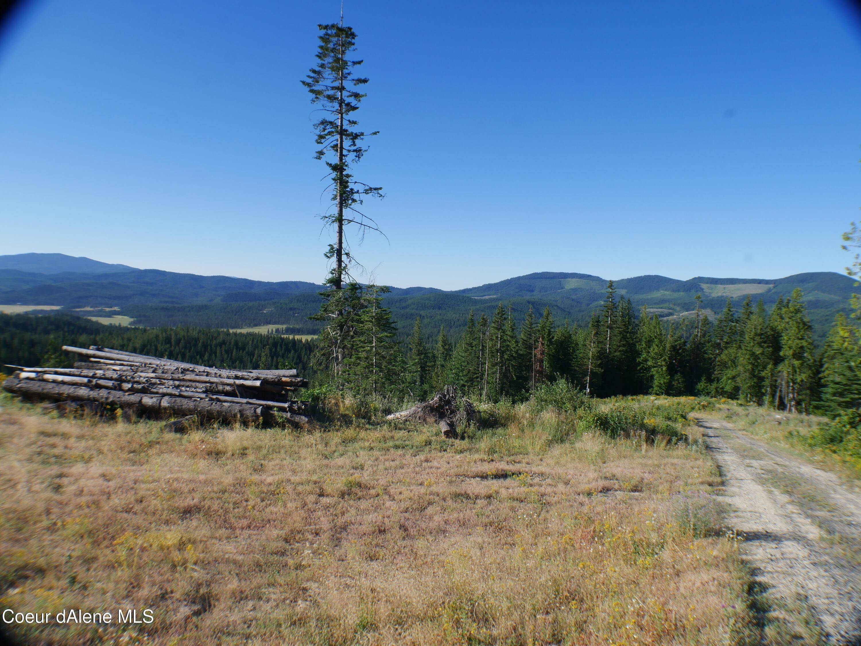 2. Land for Sale at Backside Drive St. Maries, Idaho 83861 United States