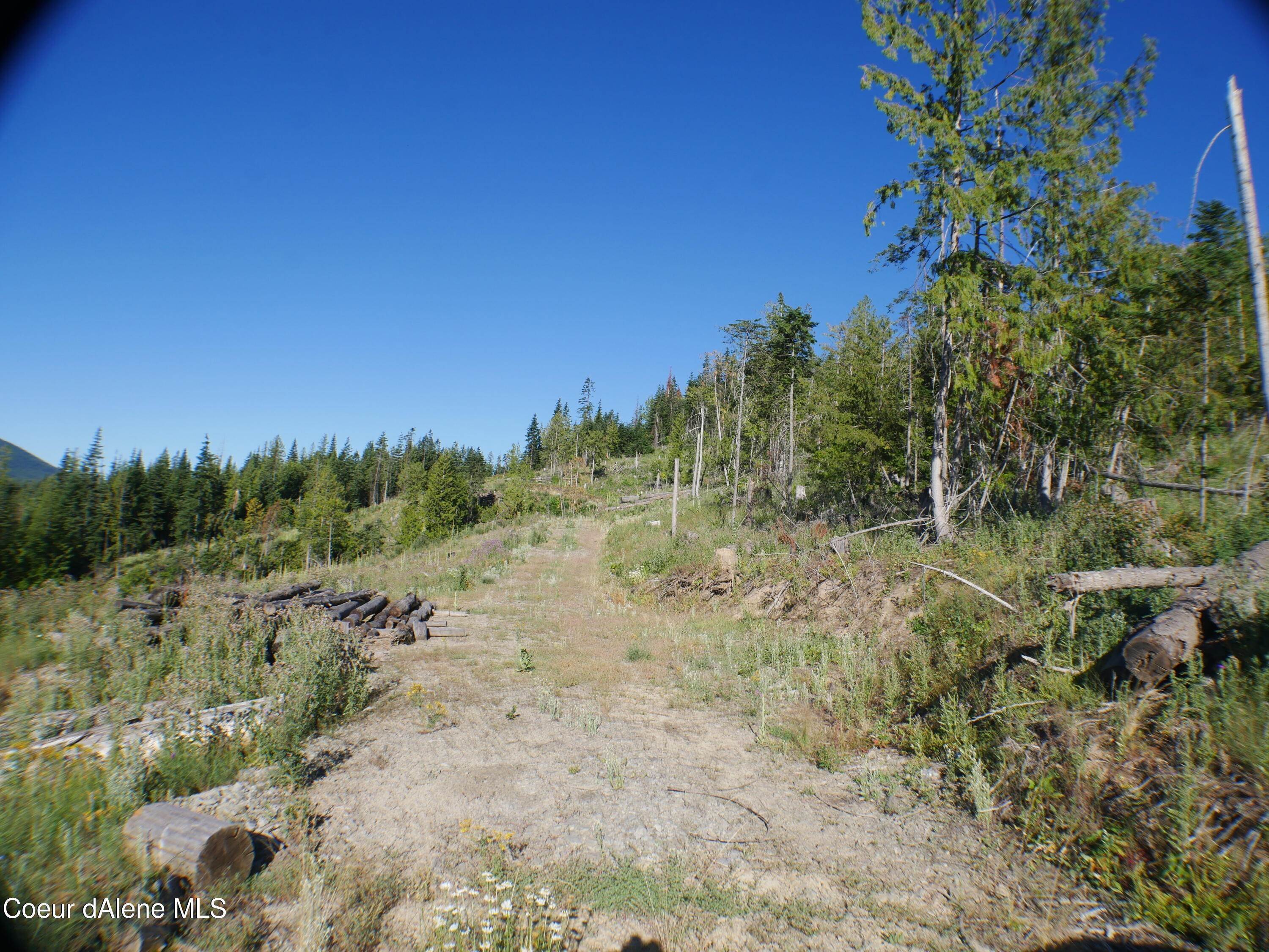 11. Land for Sale at Backside Drive St. Maries, Idaho 83861 United States