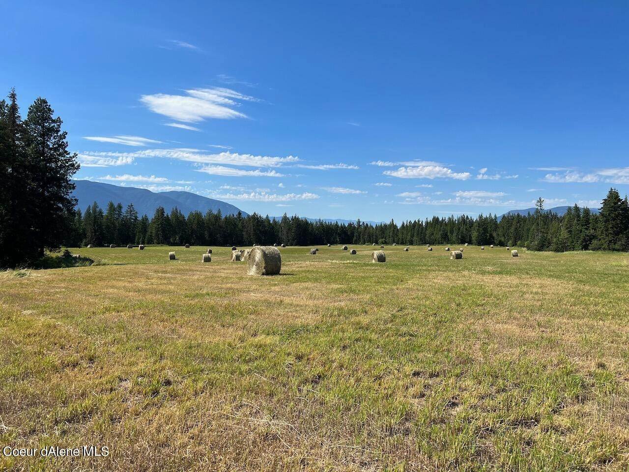 Land for Sale at 202 Sapphire Drive Bonners Ferry, Idaho 83805 United States