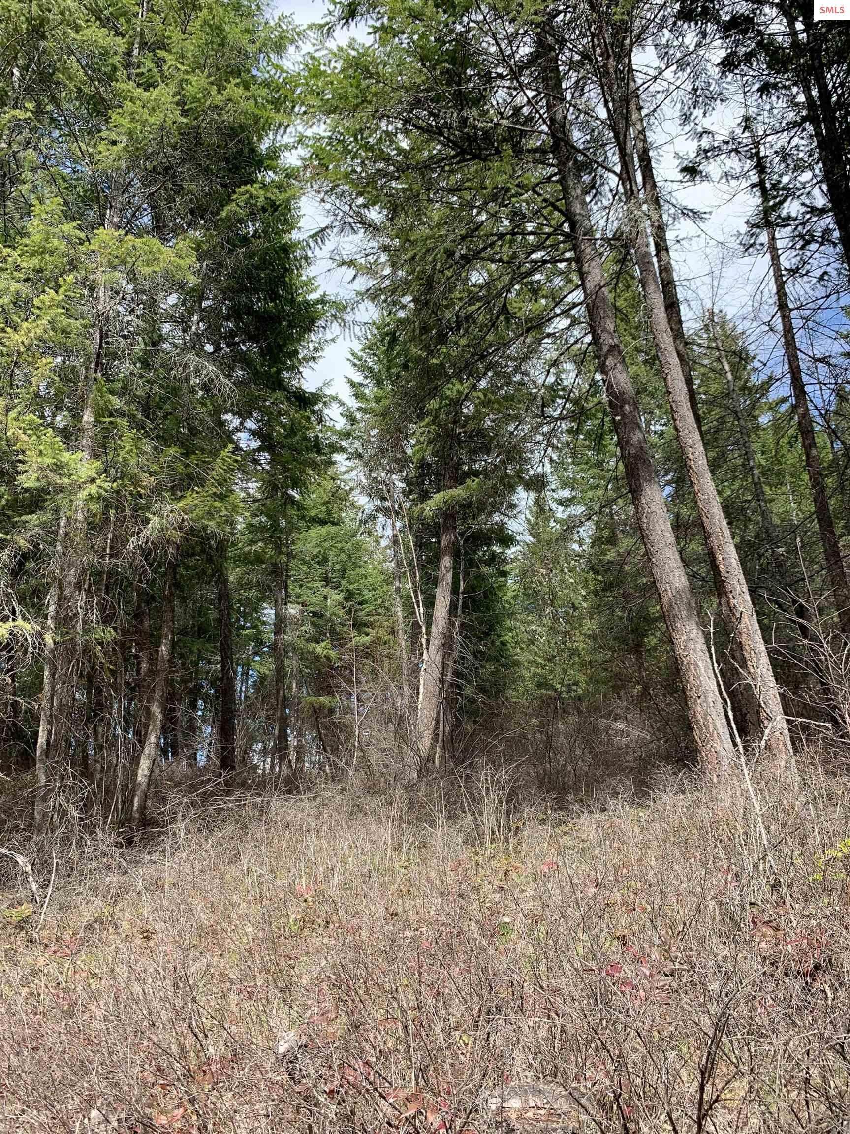 11. Land for Sale at NNA Bootlegger Lane - Stein Mtn Bonners Ferry, Idaho 83805 United States