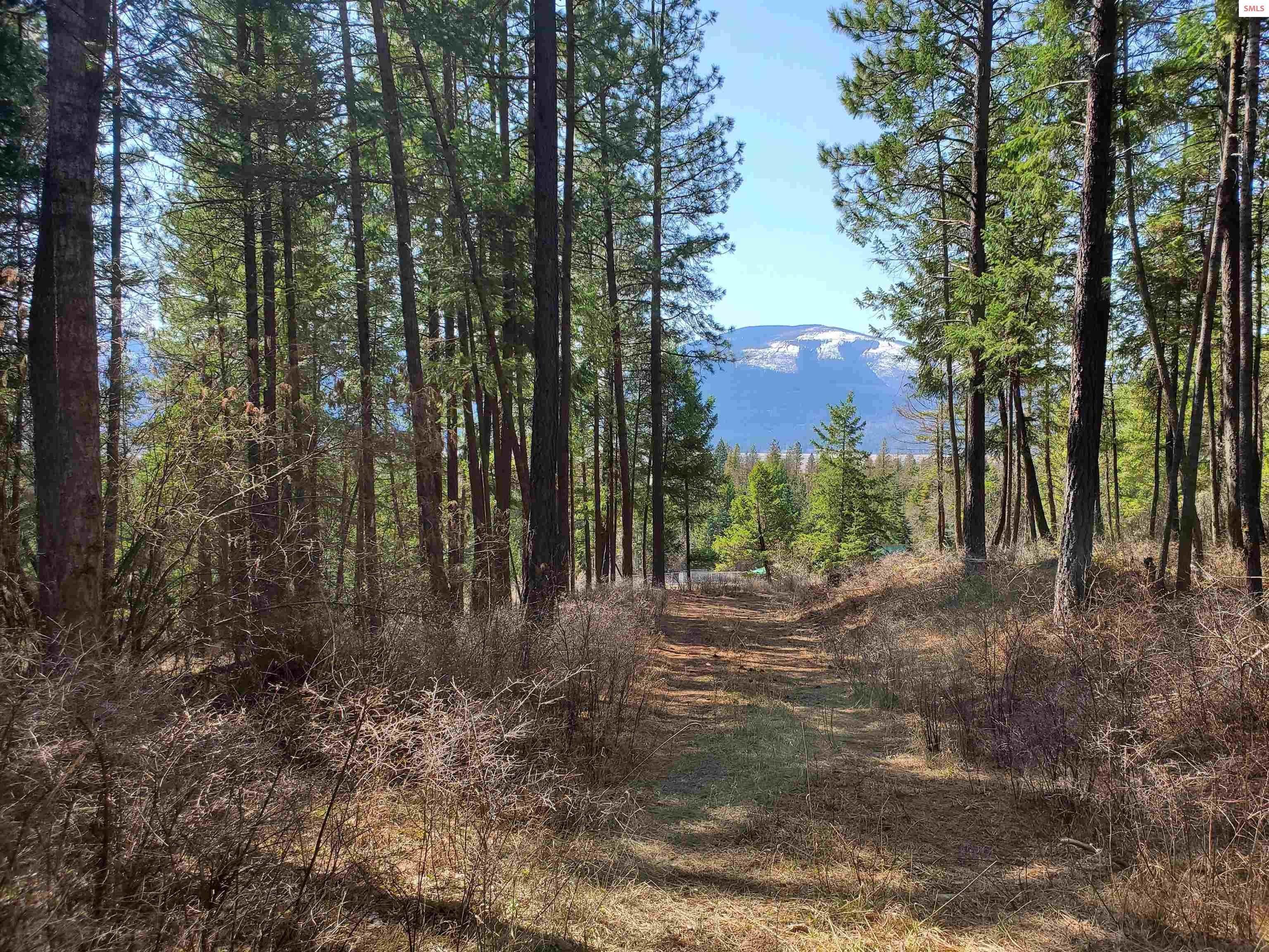 12. Land for Sale at NNA Bootlegger Lane - Stein Mtn Bonners Ferry, Idaho 83805 United States